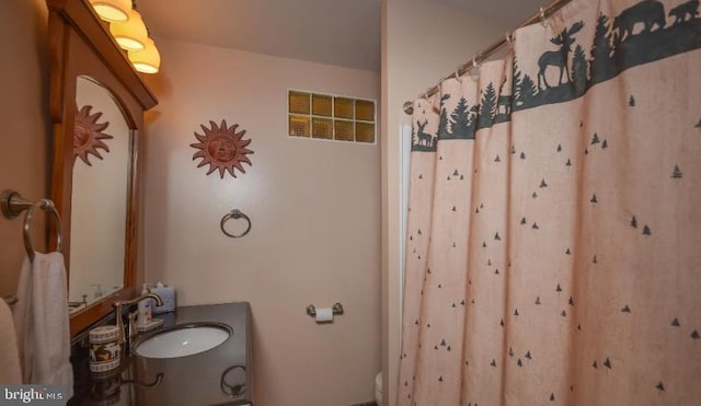 1417 Marsh Hill Rd, Mc Henry, MD 21541 - bathroom with vanity, toilet, and a shower with shower curtain
