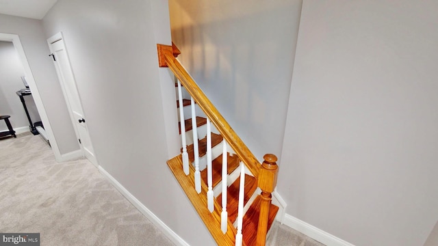 2714 Fait Ave, Baltimore, MD 21224 - stairs with carpet floors and baseboards