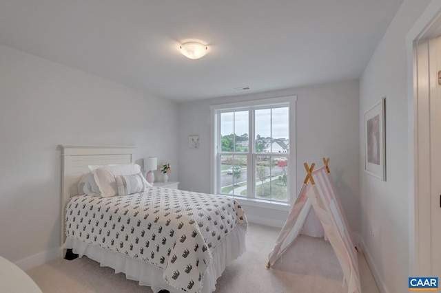 6119-2 Jarmans Gap Rd Lot 2Jarmans, Gap, Crozet, VA 22932 - bedroom with light colored carpet and baseboards