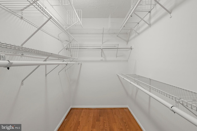 17220 Larosa Dr, Rockville, MD 20855 - spacious closet with light wood finished floors