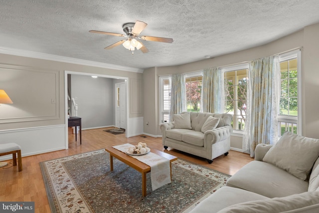 17220 Larosa Dr, Rockville, MD 20855 - living area with a textured ceiling, healthy amount of natural light, ceiling fan, light wood-style floors, and ornamental molding