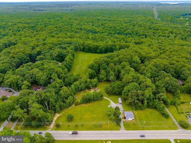 6165 Hawthorne Rd, La Plata, MD 20646 - bird's eye view of a forest
