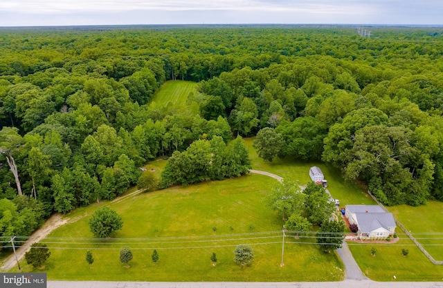 6165 Hawthorne Rd, La Plata, MD 20646 - bird's eye view of a forest
