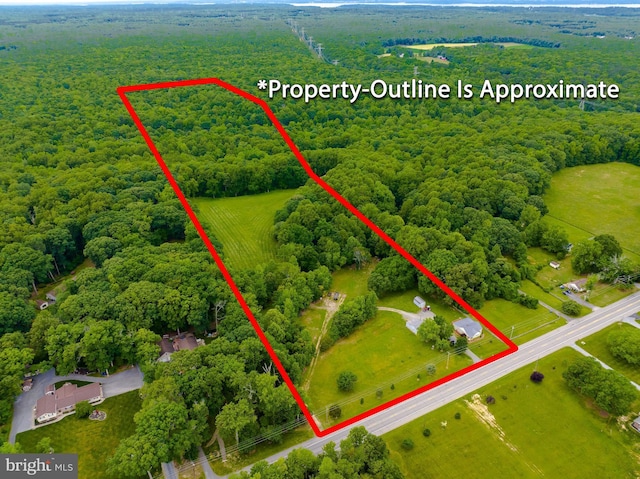 6165 Hawthorne Rd, La Plata, MD 20646 - aerial view of property's location featuring a forest and property parcel outlined