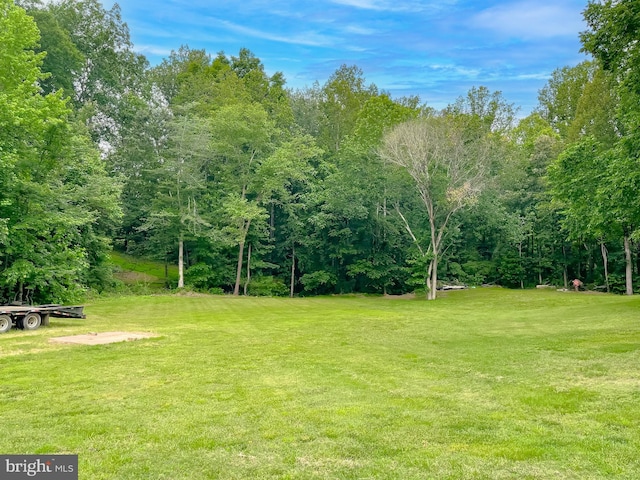6165 Hawthorne Rd, La Plata, MD 20646 - view of grassy yard