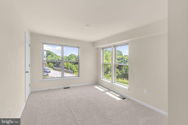 538 Copley Pl Unit 1-A, Gaithersburg, MD 20878 - empty room with plenty of natural light and carpet floors
