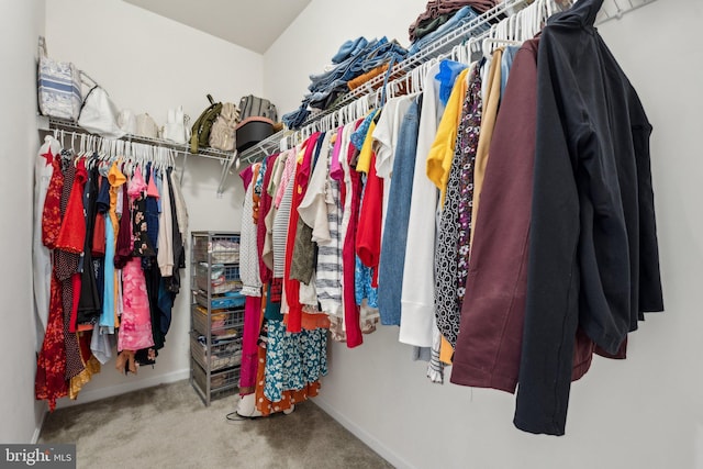 42533 Benfold Sq, Brambleton, VA 20148 - walk in closet featuring carpet flooring