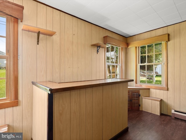 1229 7 Oaks Rd, Halethorpe, MD 21227 - bar with baseboard heating, wood walls, and dark wood finished floors