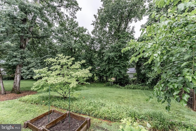 5632 Glenwood Dr, Alexandria, VA 22310 - view of green lawn with a vegetable garden