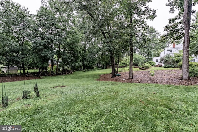 5632 Glenwood Dr, Alexandria, VA 22310 - view of green lawn