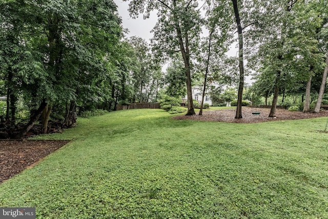 5632 Glenwood Dr, Alexandria, VA 22310 - view of yard