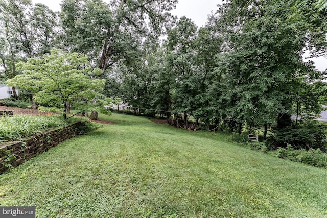 5632 Glenwood Dr, Alexandria, VA 22310 - view of grassy yard