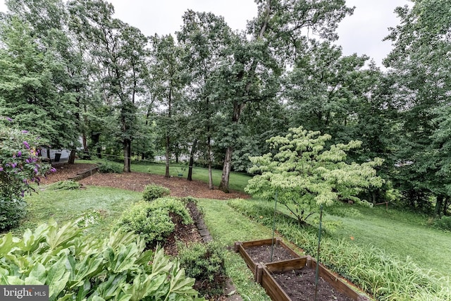 5632 Glenwood Dr, Alexandria, VA 22310 - view of green lawn featuring a vegetable garden