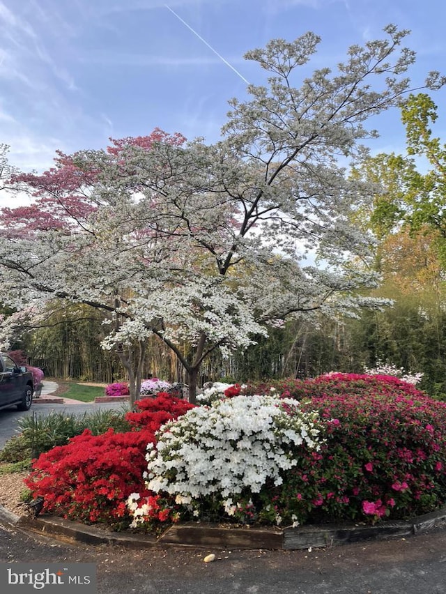5632 Glenwood Dr, Alexandria, VA 22310 - view of property's community