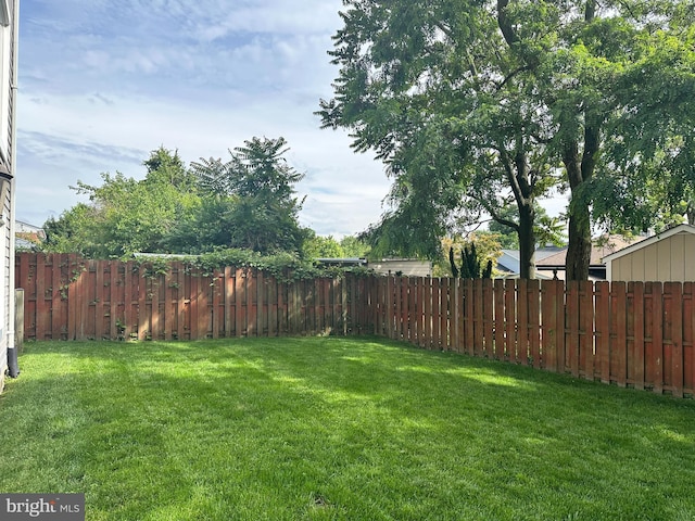 1812 N Culpeper St, Arlington, VA 22207 - view of yard