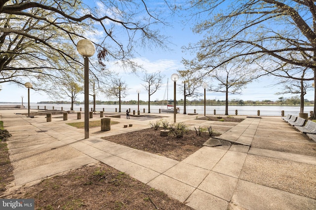 1435 4th St SW Unit B513, Washington, DC 20024 - surrounding community with a water view