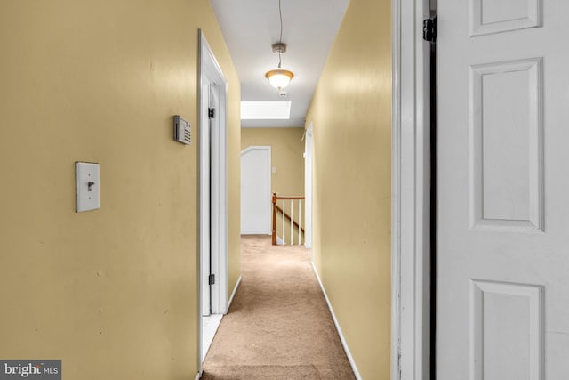 20 Elkshead Ter, Hamilton, NJ 08620 - corridor with carpet, an upstairs landing, and baseboards