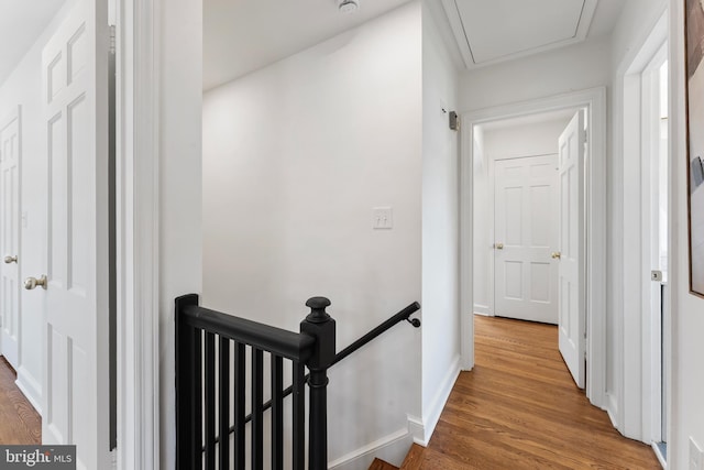 1604 Crittenden St NE, Washington, DC 20017 - hallway with an upstairs landing, wood finished floors, and baseboards
