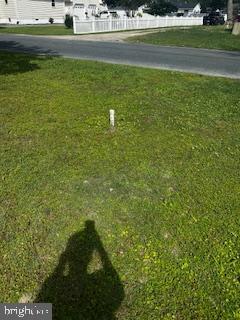 308 Carey Ave, Salisbury, MD 21804 - view of yard