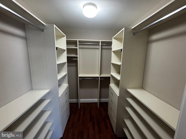 6301 Edsall Rd Unit 224, Alexandria, VA 22312 - spacious closet with dark wood-type flooring