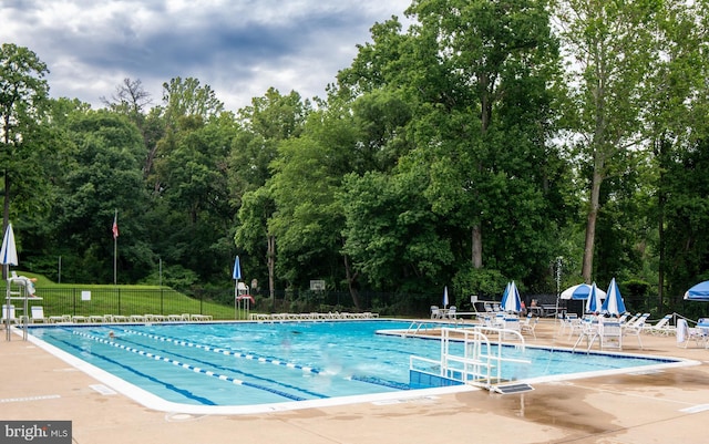 6301 Edsall Rd Unit 224, Alexandria, VA 22312 - community pool featuring a patio area and view of wooded area