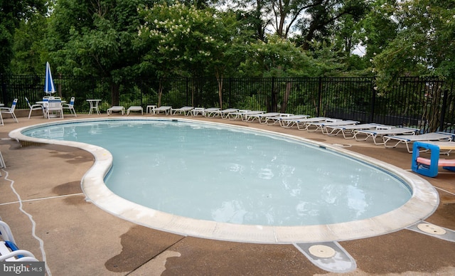 6301 Edsall Rd Unit 224, Alexandria, VA 22312 - community pool with a patio and view of scattered trees