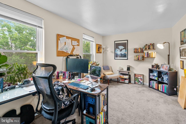 841 Mchenry St, Baltimore, MD 21230 - office space with carpet flooring