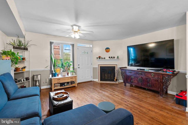 841 Mchenry St, Baltimore, MD 21230 - living room with ceiling fan, wood finished floors, baseboards, and a fireplace with flush hearth
