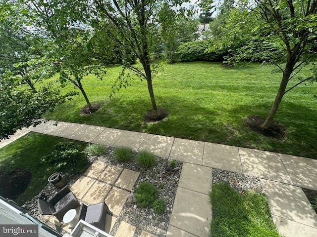 135A Equestrian Row, Bensalem, PA 19020 - view of green lawn