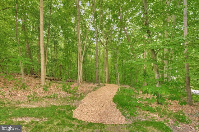 3170 Hickory Ridge Rd, Dunkirk, MD 20754 - view of tree filled area