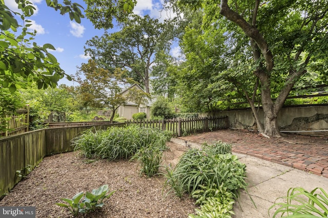 4036 Roland Ave, Baltimore, MD 21211 - fenced backyard with a patio area