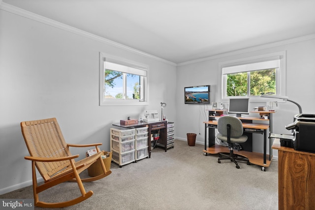 10004 Farrar Ct, Cheltenham, MD 20623 - carpeted home office with plenty of natural light, ornamental molding, and baseboards
