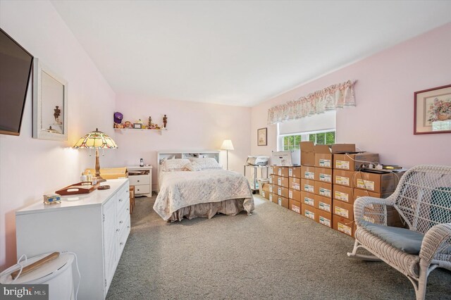 1004 Truman Rd, East Norriton, PA 19403 - bedroom with carpet