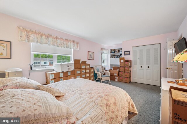 1004 Truman Rd, East Norriton, PA 19403 - bedroom featuring carpet floors and a closet
