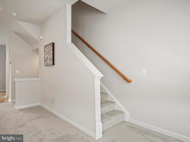 262 Norland Knoll Dr, Stephenson, VA 22656 - stairs with carpet floors and baseboards