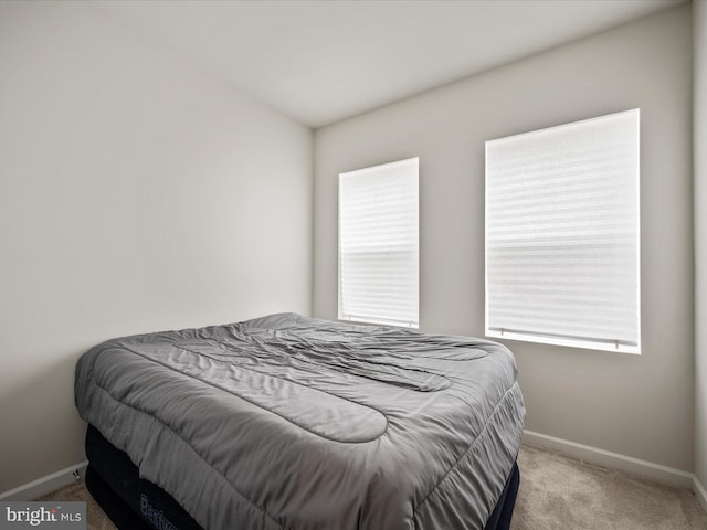 262 Norland Knoll Dr, Stephenson, VA 22656 - bedroom featuring carpet flooring