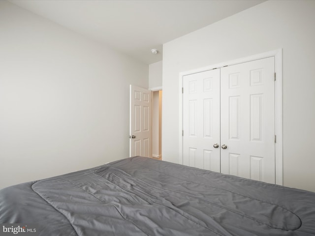 262 Norland Knoll Dr, Stephenson, VA 22656 - bedroom with a closet