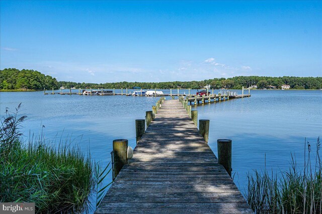 12545 River Run Ln Unit 68, Berlin, MD 21811 - dock with a water view