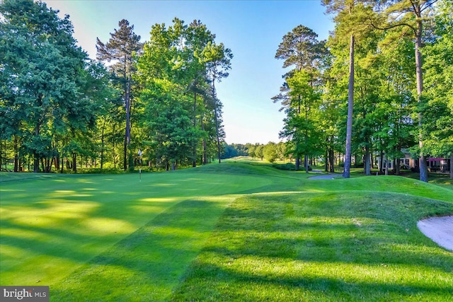 12545 River Run Ln Unit 68, Berlin, MD 21811 - view of home's community featuring view of scattered trees, a yard, view of golf course, and a putting area