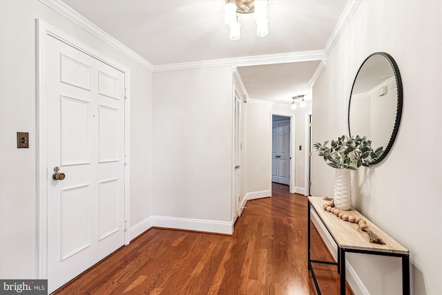 955 26th St NW Unit 512, Washington, DC 20037 - corridor with wood finished floors and crown molding