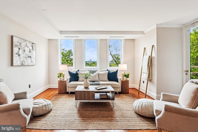 955 26th St NW Unit 512, Washington, DC 20037 - living room featuring baseboards and wood finished floors