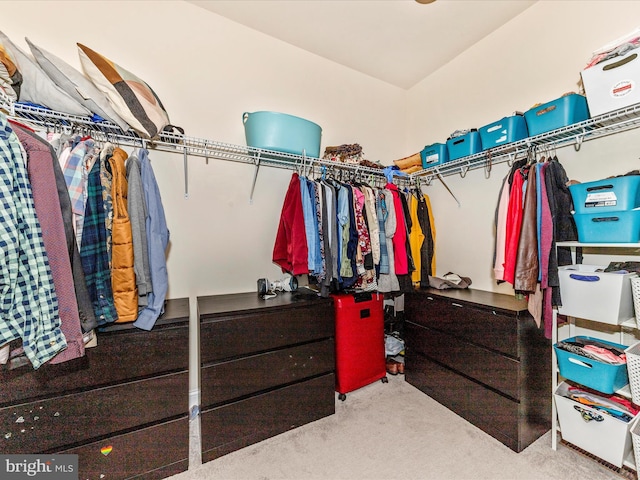 7114 Proclamation Pl, Frederick, MD 21703 - spacious closet featuring carpet flooring