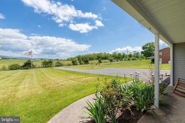 321 Garlic Hollow Rd, Edinburg, VA 22824 - view of grassy yard with asphalt driveway