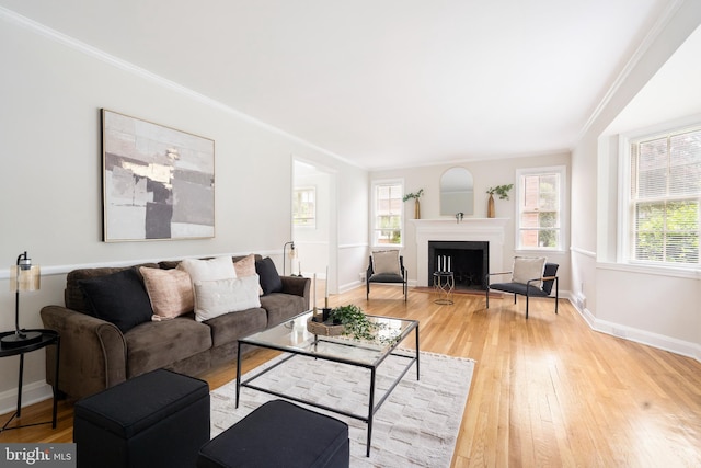 517 Worcester, Towson, MD 21286 - living area with light wood finished floors, plenty of natural light, a fireplace, baseboards, and crown molding