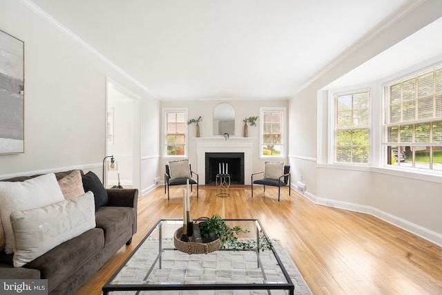 517 Worcester, Towson, MD 21286 - living area featuring a fireplace, plenty of natural light, wood finished floors, and crown molding