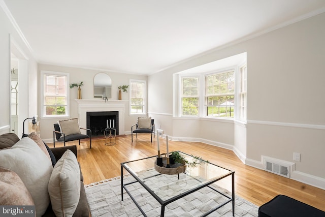 517 Worcester, Towson, MD 21286 - living area featuring crown molding, wood finished floors, a fireplace with flush hearth, and baseboards