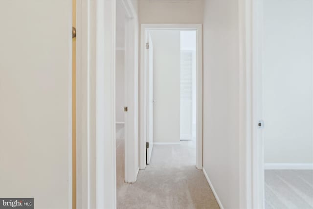19918 Wyman Way, Germantown, MD 20874 - corridor with light colored carpet and baseboards