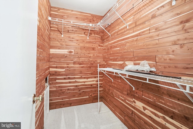 19918 Wyman Way, Germantown, MD 20874 - walk in closet featuring carpet floors