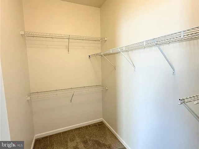 4118 Votive, Williamsburg, VA 23188 - walk in closet with carpet flooring