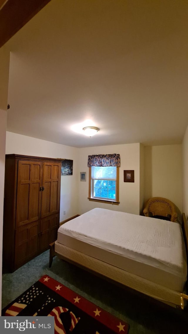 711 Tristan Trl, Chambersburg, PA 17202 - bedroom featuring carpet